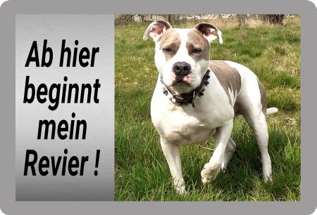 Mein Revier Hunde Schild smart spritzig informativ schilder selbst gestalten