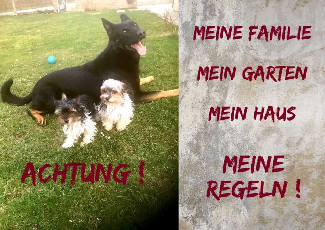 Meine Familie Hunde Schild smart kreativ informativ schilder selbst gestalten