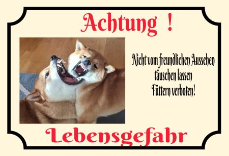 Nicht täuschen lassen! Hunde Schild kreativ informativ auffallend nachdrücklich schilder selbst gestalten