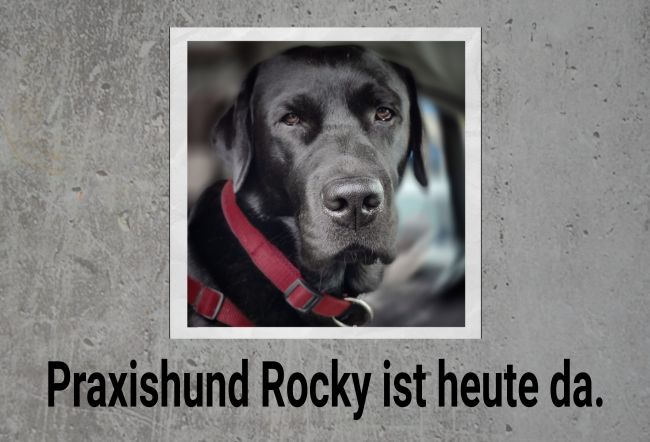 Praxishund Rocky Hunde Schild kreativ informativ schilder selbst gestalten