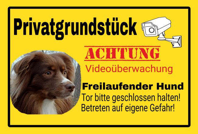 Privatgrundstück Hunde Schild smart spannend bunt kreativ schilder selbst gestalten