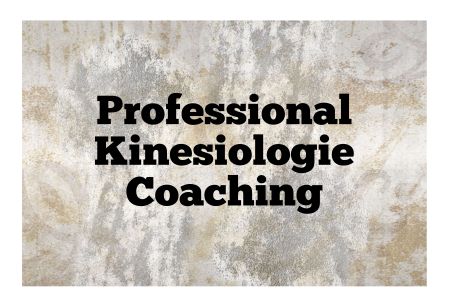 Professional Kinesiologie Firma Schild spannend kreativ informativ auffallend schilder selbst gestalten