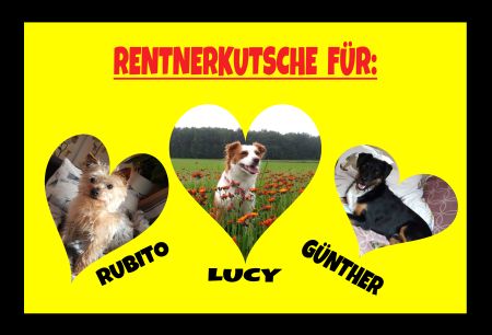 Rentnerkutsche Hunde Schild smart kreativ spritzig informativ auffallend schilder selbst gestalten