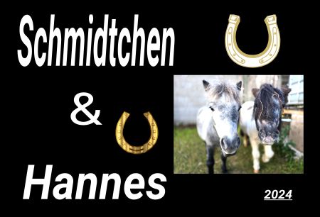 Schmidtchen & Hannes Pferde Schild kreativ informativ auffallend schilder selbst gestalten