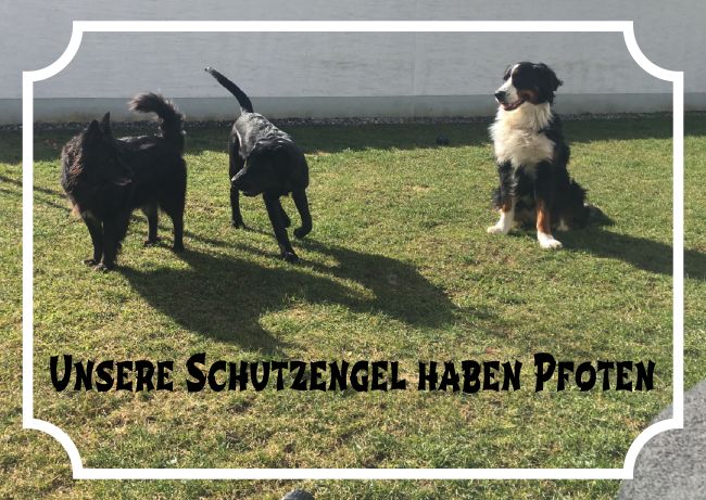 Schutzengel mit Pfoten Hunde Schild smart spannend schilder selbst gestalten