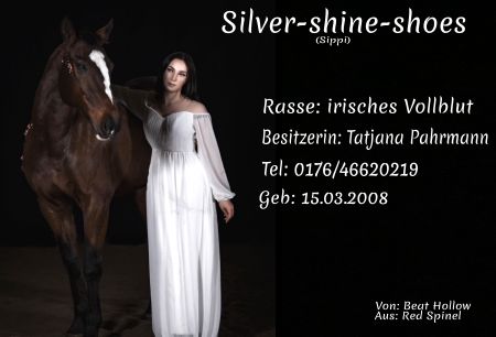 Silver-shine-shoes Pferde Schild spannend informativ auffallend schilder selbst gestalten