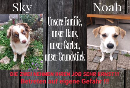 Sky & Noah Hunde Schild bunt kreativ spritzig informativ auffallend schilder selbst gestalten