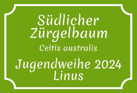 Südlicher Zürgelbaum Hinweis Schild smart kreativ informativ auffallend schilder selbst gestalten