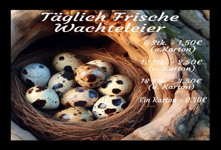 Täglich frische Wachteleier Firma Schild smart spritzig informativ auffallend schilder selbst gestalten