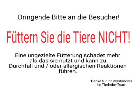 Tiere nicht füttern! Hinweis Schild informativ auffallend nachdrücklich schilder selbst gestalten