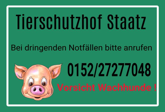 Tierschutzhof Warnung-Zutrittverboten Schild informativ auffallend schilder selbst gestalten