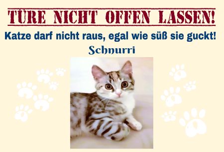 Türe nicht offen lassen! Katzen Schild spannend bunt informativ auffallend schilder selbst gestalten