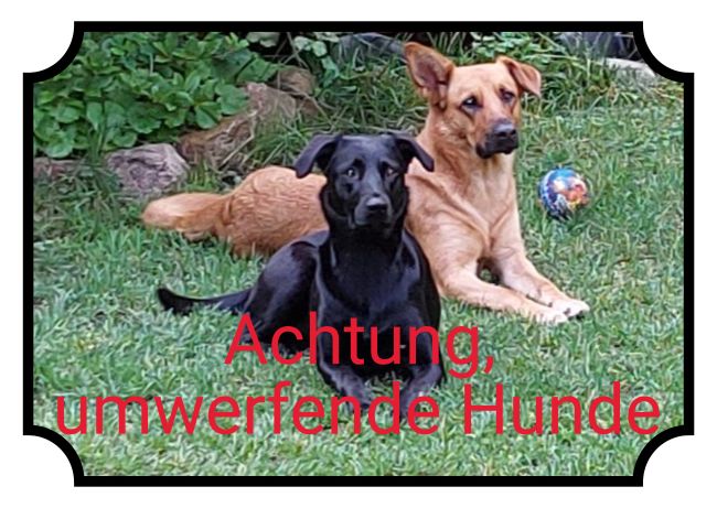 umwerfende Hunde Hunde Schild smart bunt informativ schilder selbst gestalten