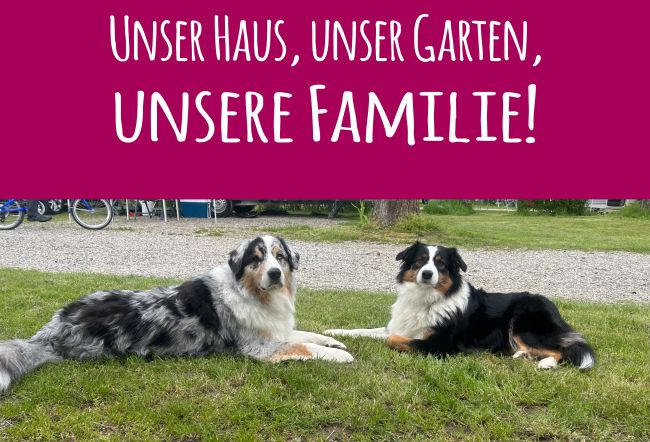 Unser Haus... Hunde Schild smart bunt auffallend schilder selbst gestalten