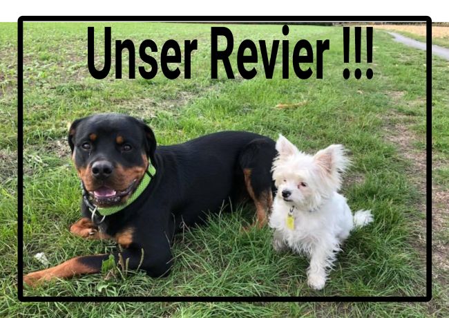 Unser Revier Hunde Schild smart bunt kreativ auffallend schilder selbst gestalten