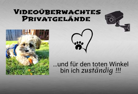 Videoüberwachtes Privatgelände Hunde Schild spannend kreativ informativ auffallend schilder selbst gestalten