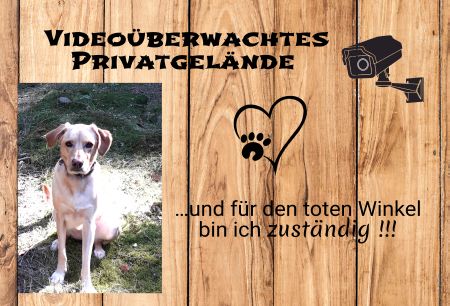 Videoüberwachtest Privatgelände Hunde Schild kreativ informativ auffallend schilder selbst gestalten