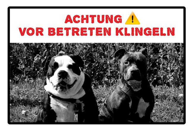 Vor betreten klingeln Hunde Schild smart bunt kreativ schilder selbst gestalten