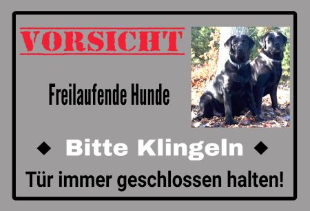 VORISCHT  - Bitte klingeln Hunde Schild informativ auffallend nachdrücklich schilder selbst gestalten