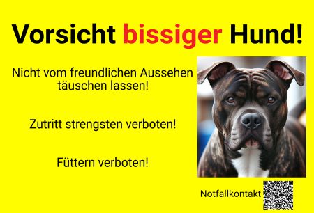 Vorsicht bissiger Hund Hunde Schild spannend informativ auffallend nachdrücklich schilder selbst gestalten