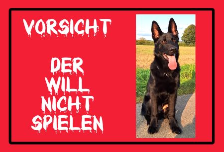 VORSICHT - Der will nicht spielen Hunde Schild spannend informativ auffallend schilder selbst gestalten