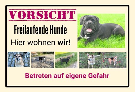 VORSICHT Freilaufender Hund Hunde Schild spannend kreativ auffallend schilder selbst gestalten