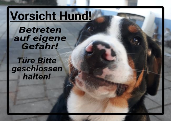 Vorsicht Hund Warnung-Zutrittverboten Schild informativ auffallend schilder selbst gestalten