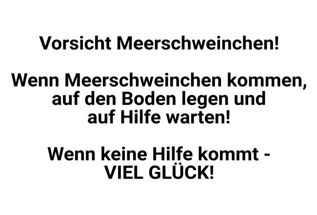 Vorsicht Mehrschweinchen Sprüche Schild smart auffallend lustig schilder selbst gestalten