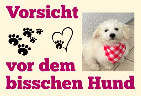 Vorsicht vor dem bisschen Hund Hunde Schild kreativ spritzig informativ auffallend schilder selbst gestalten