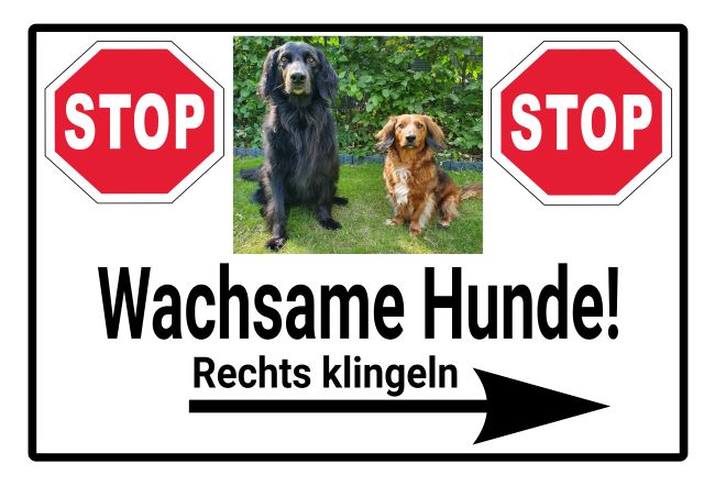 Wachsame Hunde Warnung-Zutrittverboten Schild smart kreativ spritzig informativ auffallend schilder selbst gestalten