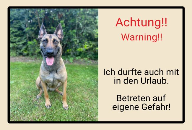 Warning Hunde Schild smart spannend informativ schilder selbst gestalten