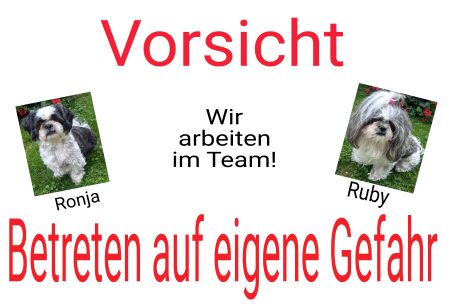 Wir arbeiten im Team! Hunde Schild kreativ spritzig informativ auffallend schilder selbst gestalten