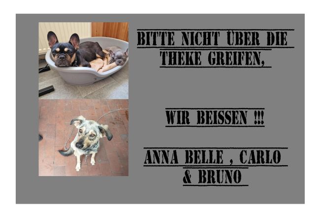 WIR BEISSEN !!! Hunde Schild smart bunt nachdrücklich schilder selbst gestalten