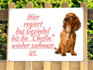 Hundeschild - Designvorschlag 2